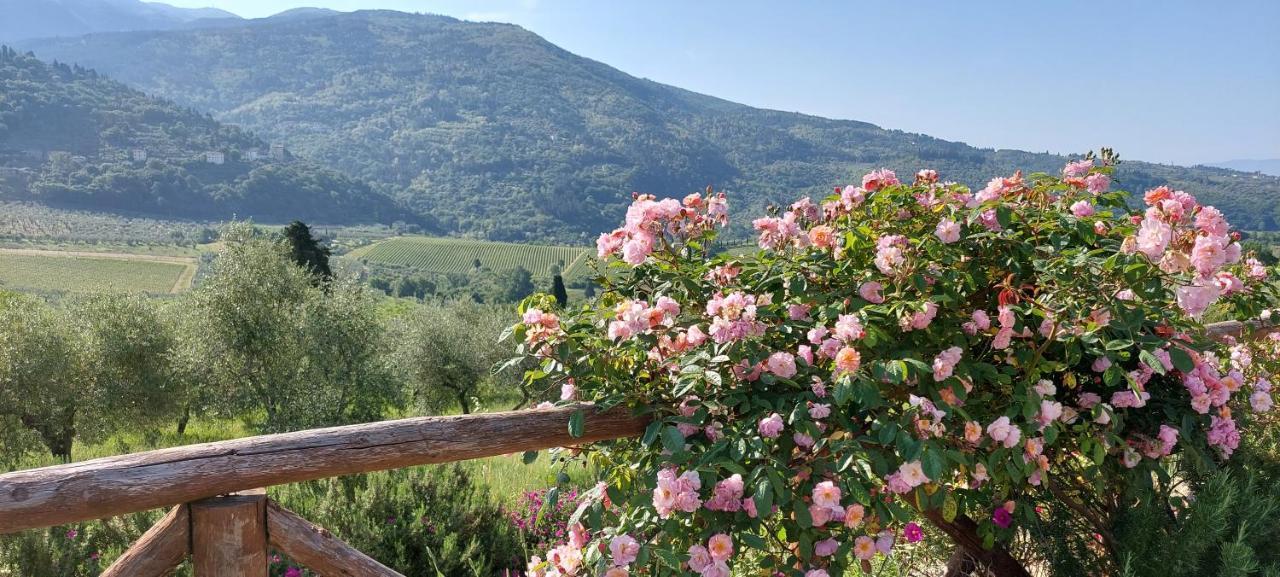 Vila La Fornella Dell'Anita Pelago Exteriér fotografie