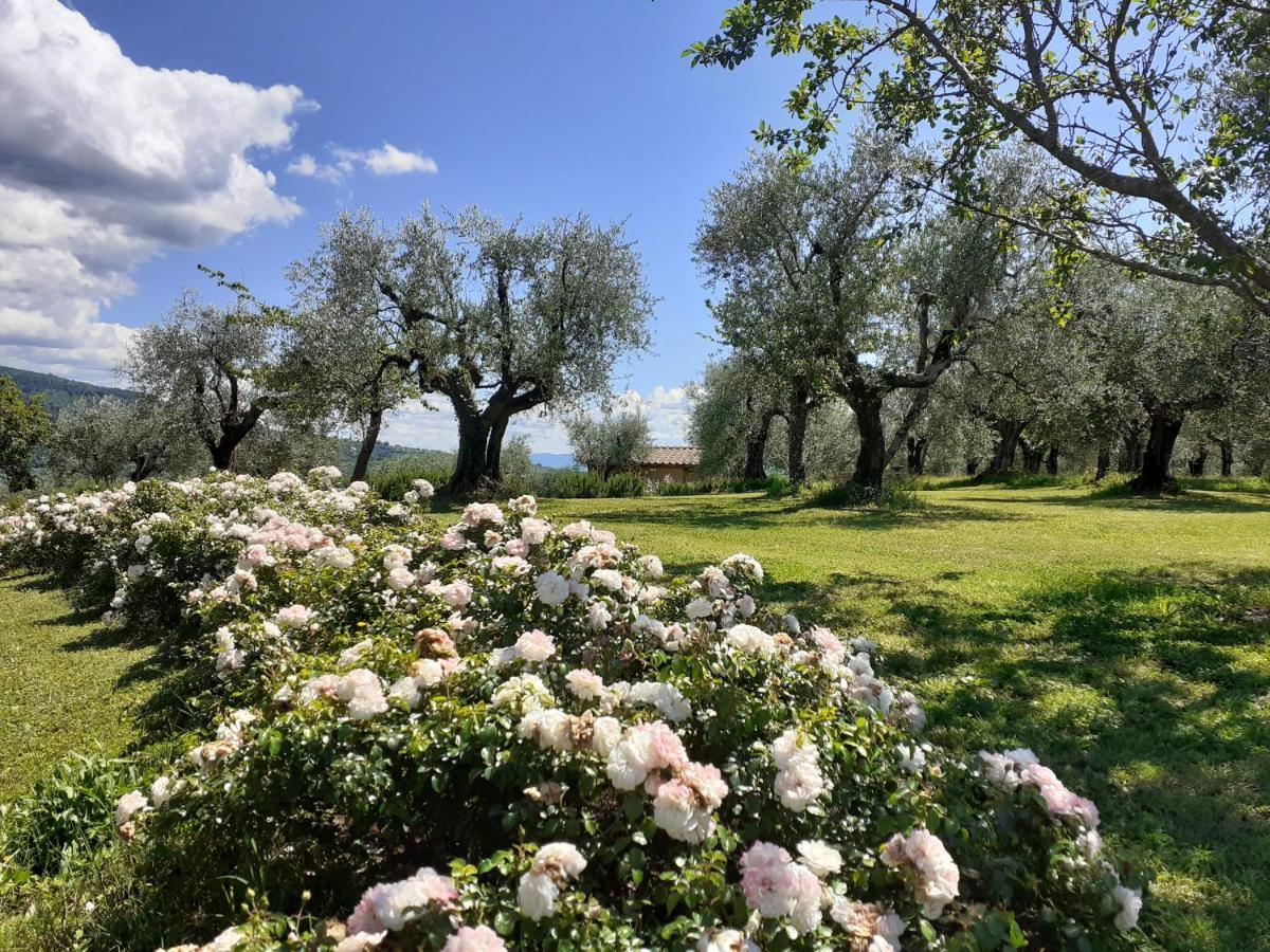 Vila La Fornella Dell'Anita Pelago Exteriér fotografie