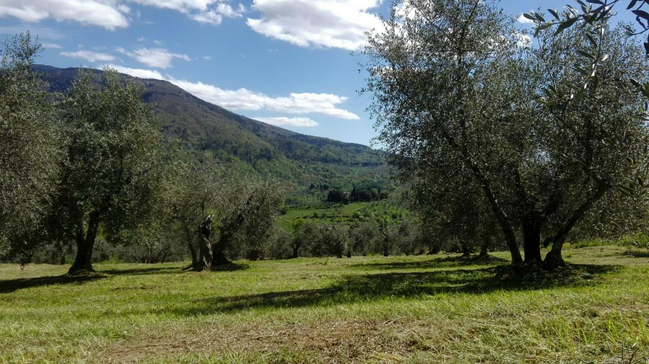 Vila La Fornella Dell'Anita Pelago Exteriér fotografie